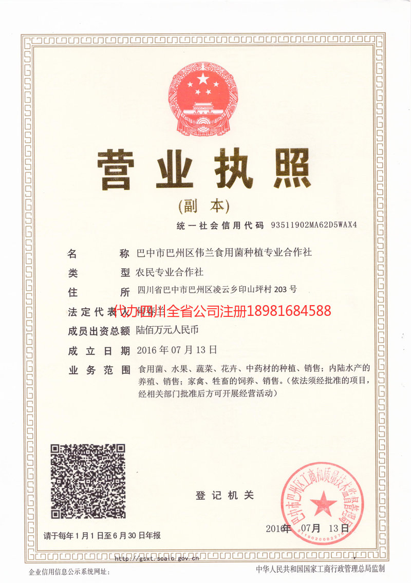 新沂新沂伟兰食用菌种植专业合作社